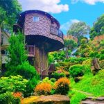 苗栗親子民宿包棟